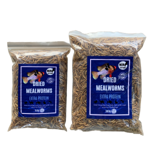 Tenebrios deshidratados